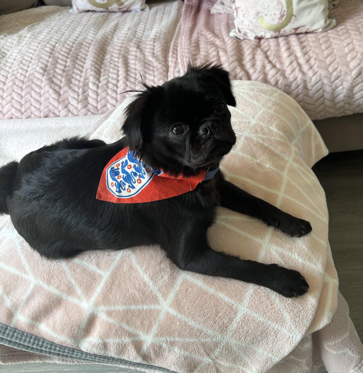 Chance Is Ready ❤️🤍⚽️
#SSNThreeLions