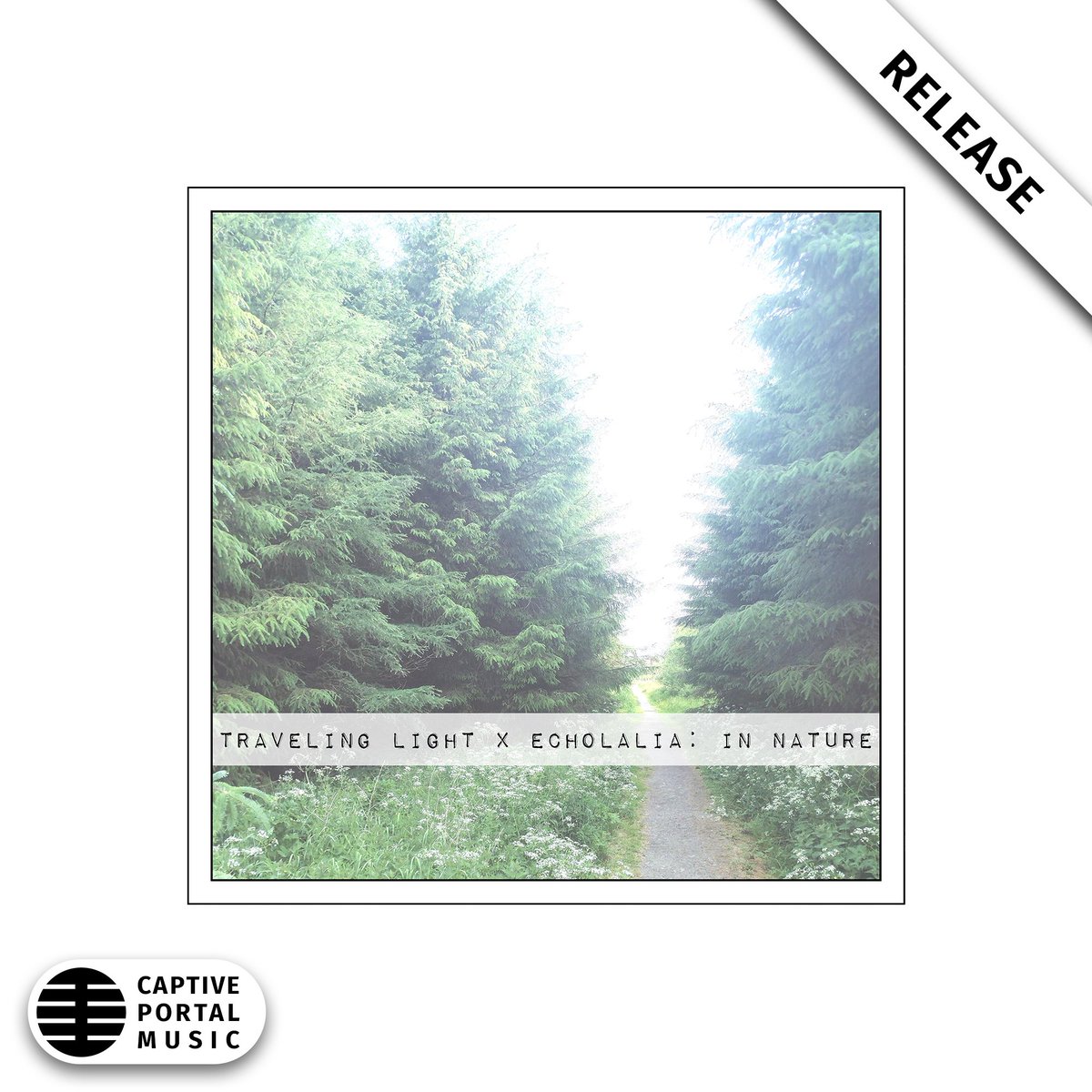 CaptivePortal's tweet photo. 🎵 Happy Netlabel Day 2024!

This is a split album with my good friend Dave Emmerson (Echolalia) and my alias, Traveling Light. This was released on Dave’s label VISIONS PRESS. 🌳 We each made long ambient field recordings of us being in nature in various parts of the world. 🌊 https://t.co/DioZwqEKpz