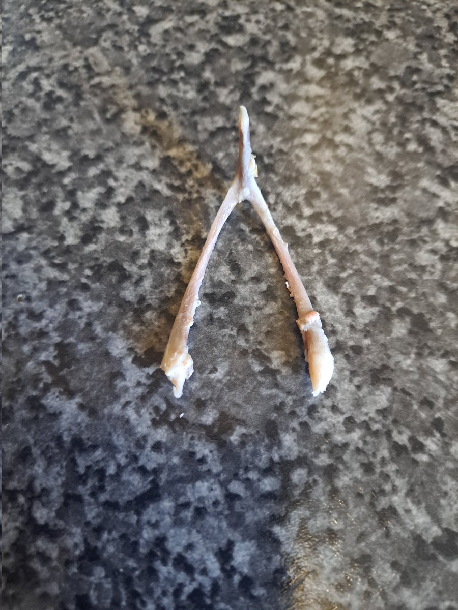 KMSummerfield's tweet image. What's everyone wishing for tonight ⚽️🏆🏴󠁧󠁢󠁥󠁮󠁧󠁿