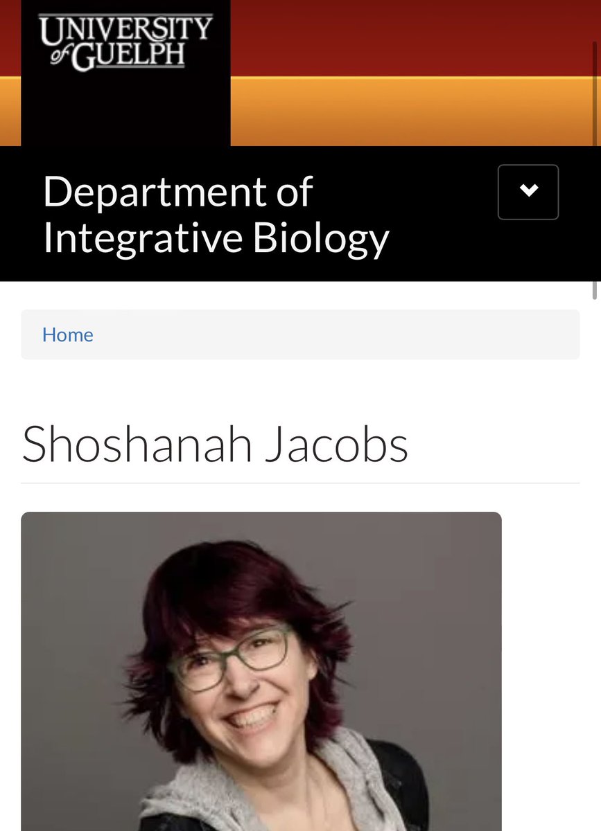 Libs of TikTok tweet media