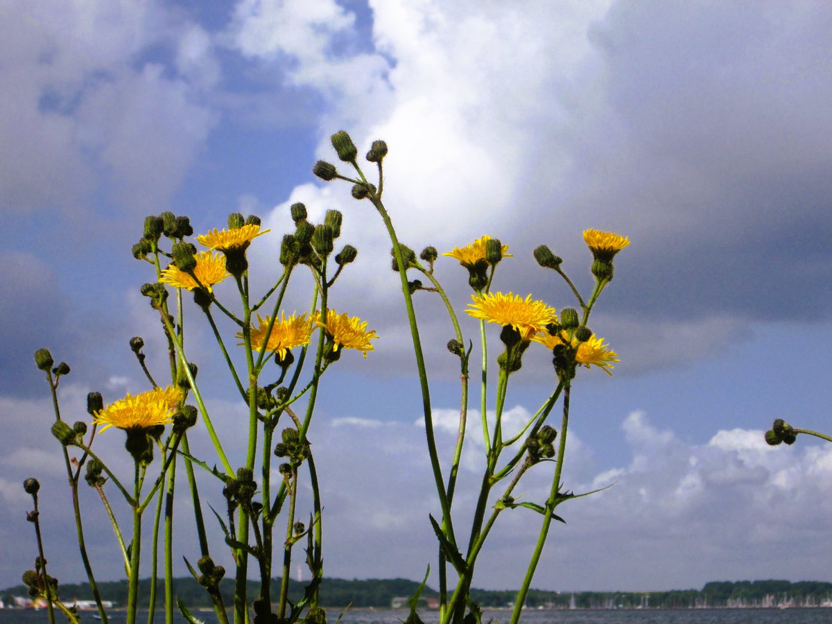 Guten Abend, gute Nacht!