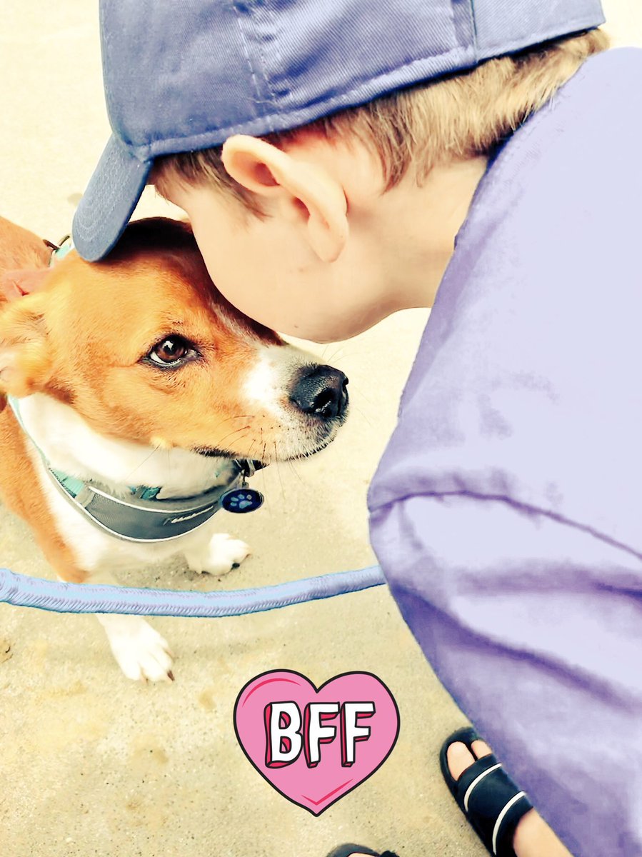 Bella, Mags , Brie and 🌈Bentley 🐞🐞 tweet media