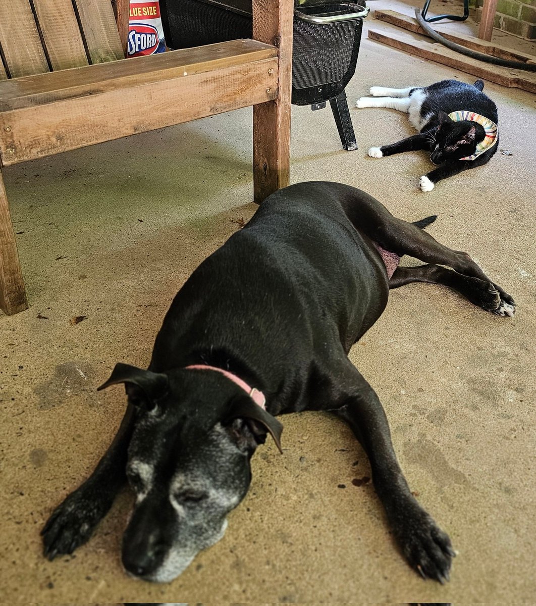 We know the best way to stay cool on a hot day.