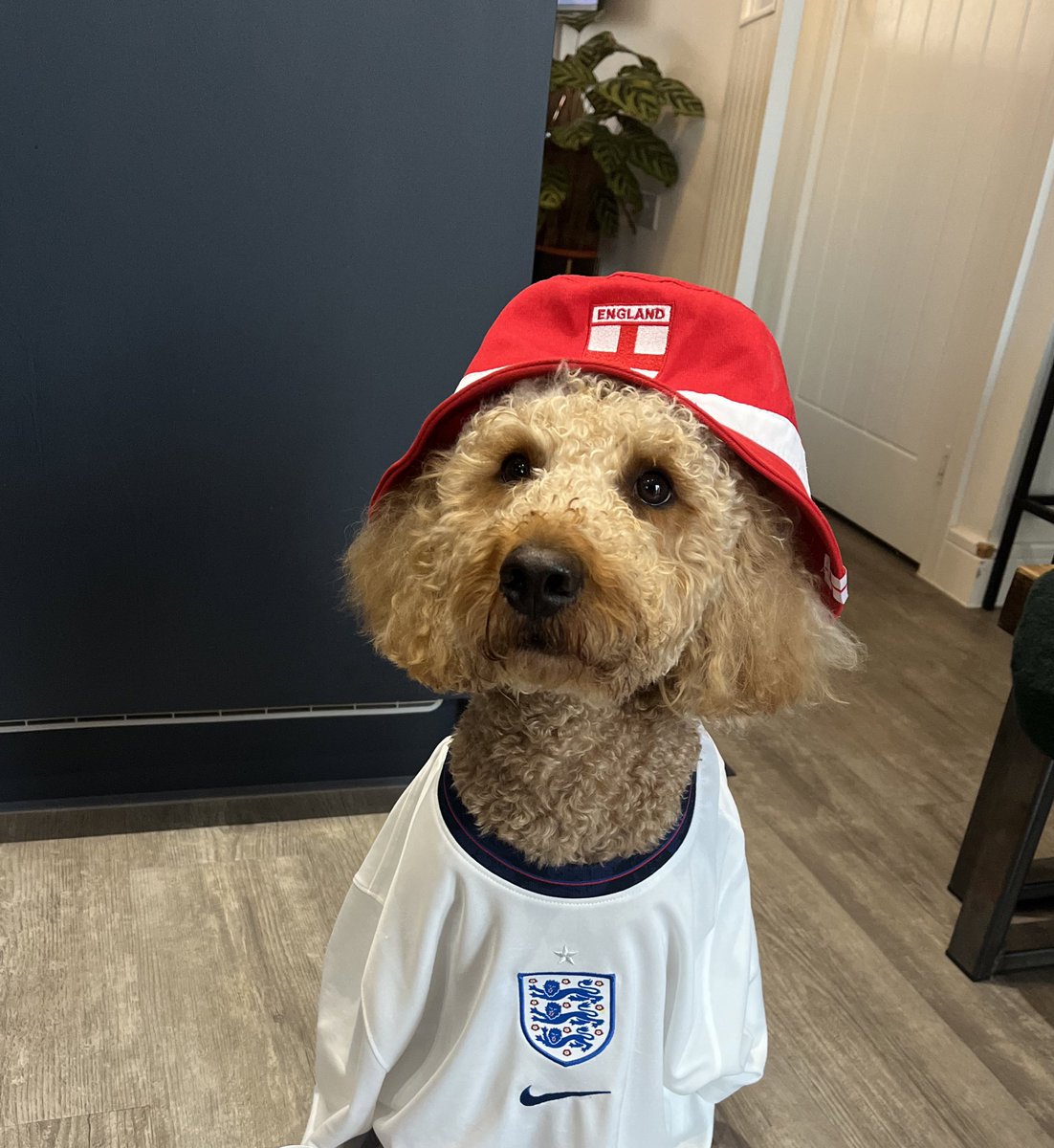 Alisha Griffiths tweet media