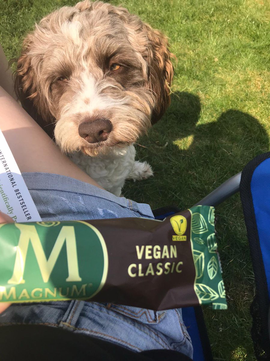 Veganella 🥦 tweet media