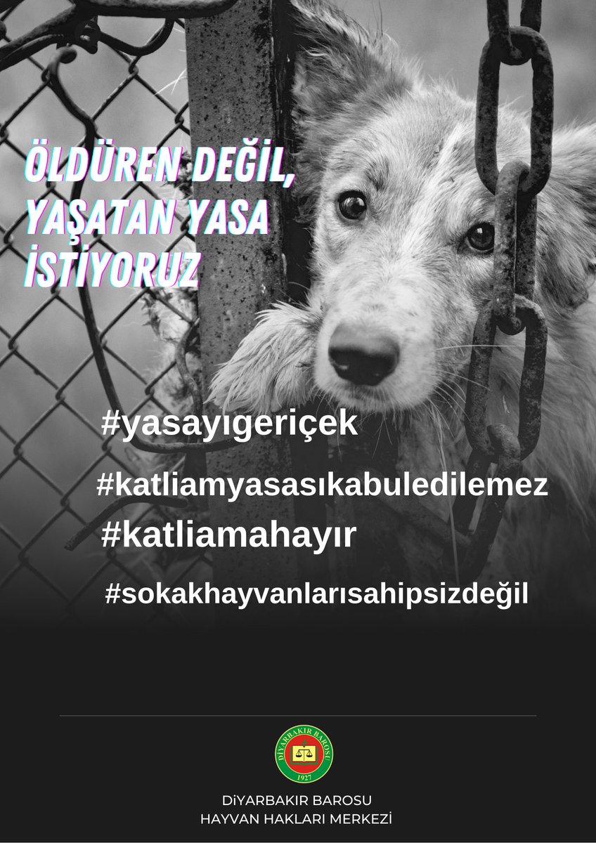 dbhayvanhaklari's tweet photo. ÖLDÜREN DEĞİL,YAŞATAN YASA İSTİYORUZ
#yasayigeriçek 
#katliamahayir 
#sokakhayvanlarisahipsizdeğil 
#katliamyasasikabuledilemez https://t.co/wUfRYOVtwq