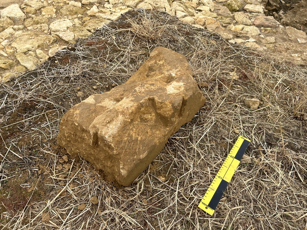 Archeoscan tweet media