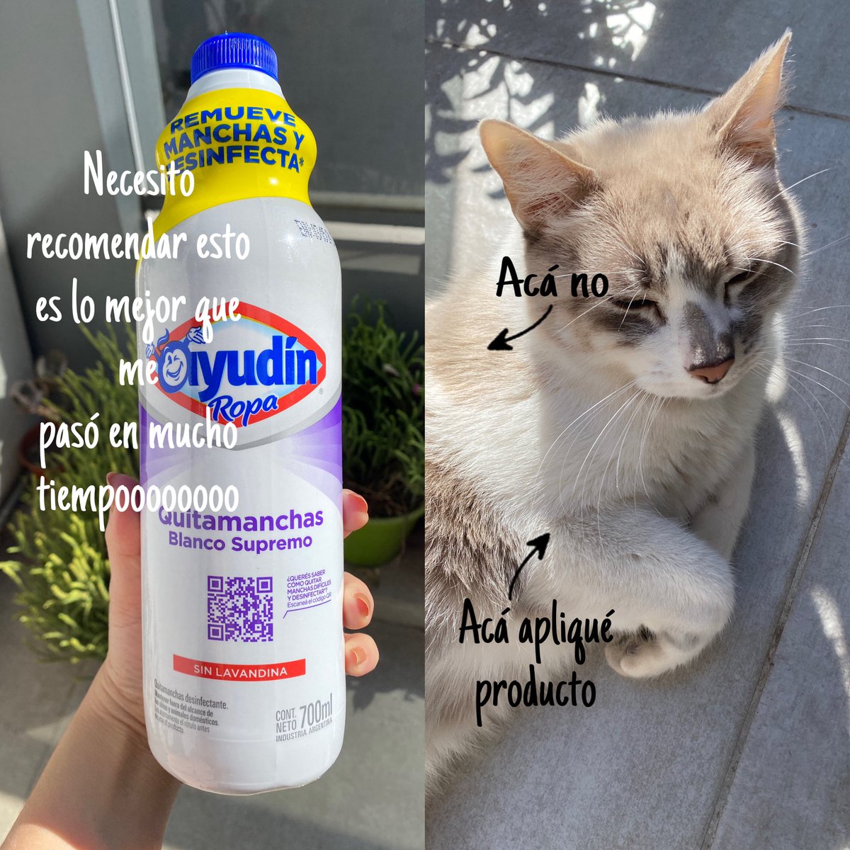 mariasnerd's tweet photo. También lo probé en el gato y funciona. https://t.co/SKZ3dWhklm
