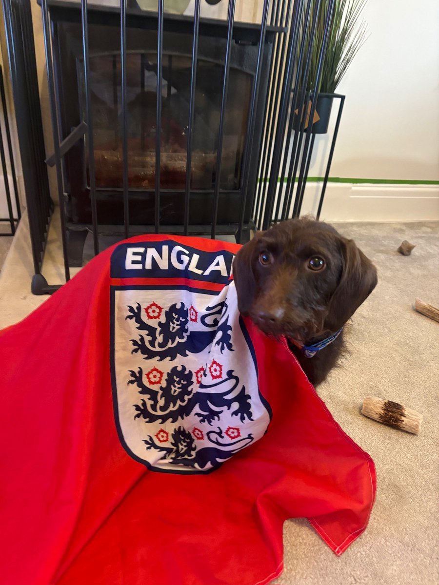 MarkGaudo's tweet photo. Jess, Mark &amp; Paddy (The sausage dog!) Ready for it coming home!!  #SSNThreeLions https://t.co/ZDb19mES0d