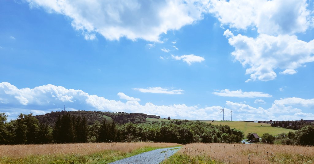 drzwinsch's tweet photo. Fernab aller Nachrichten.
#kamm #Erzgebirge https://t.co/80tC7Keikp