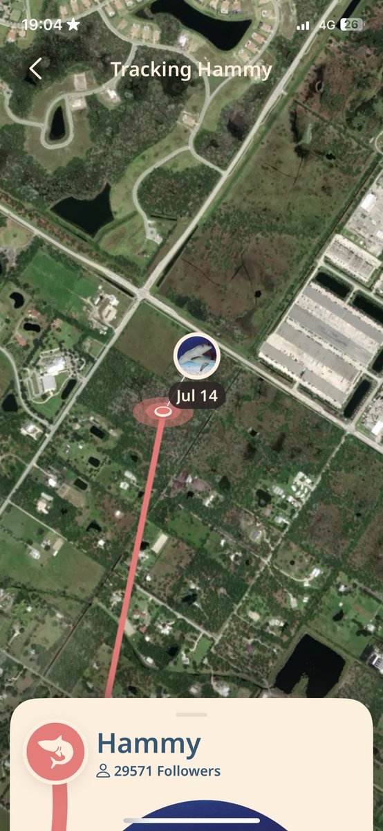 clara 𖦹 ☼ ⋆｡˚⋆ฺ tweet media