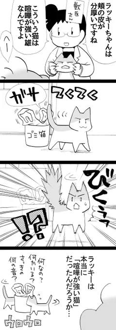 四コマ「その後のラッキー3」

ゴミが回収しやすいように、ゴミ箱に入れているビニール袋に尻尾が触れた音に驚いて、ジャンプしてました。
ラッキーは割と臆病です。

#猫 #四コマ漫画 #御かぞくさま御いっこう 