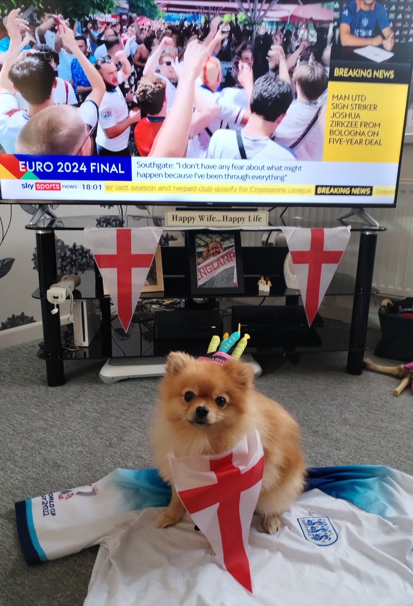 Pinot hoping to celebrate her 2nd Birthday with a England win!!! #PinotthePom #SSNThreeLions