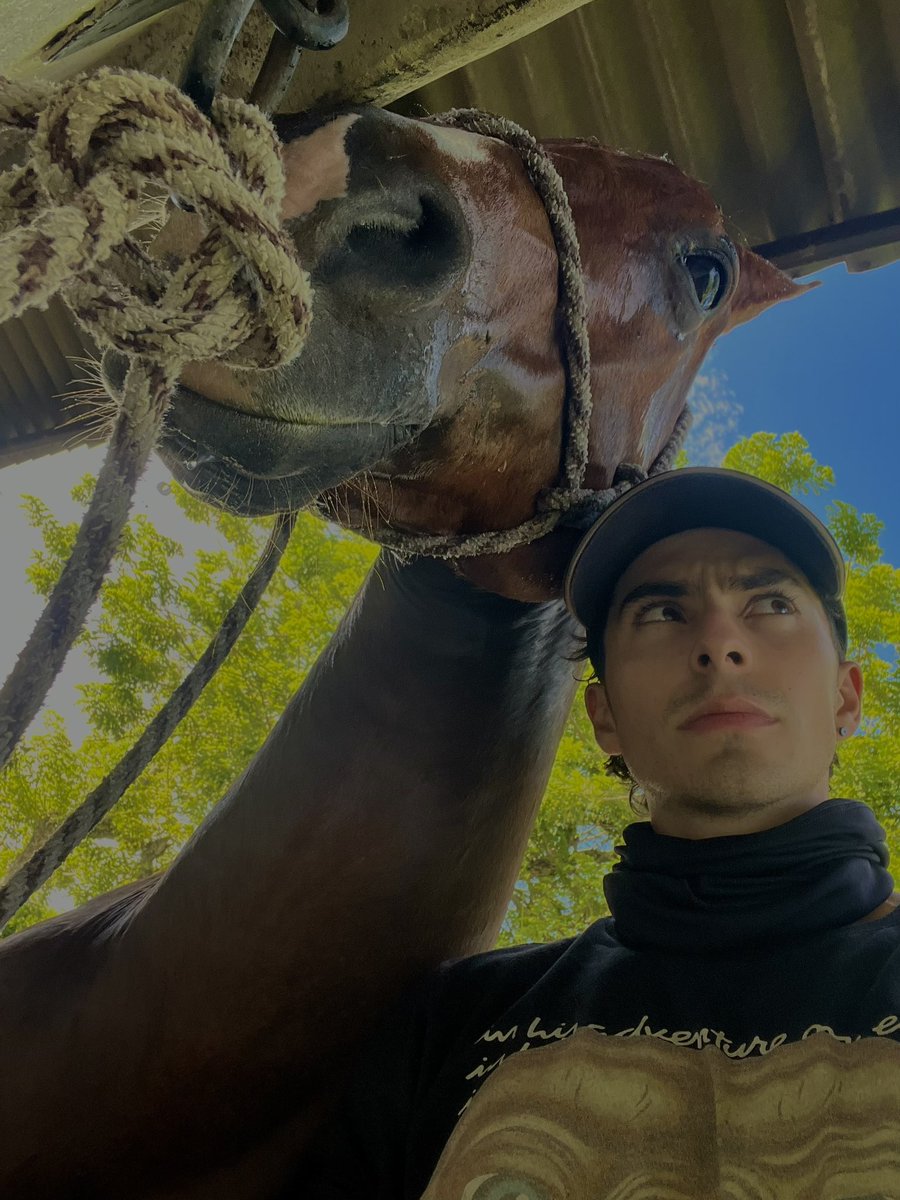 55Estiven's tweet photo. #horse  #selfie https://t.co/DVUZMTHgao