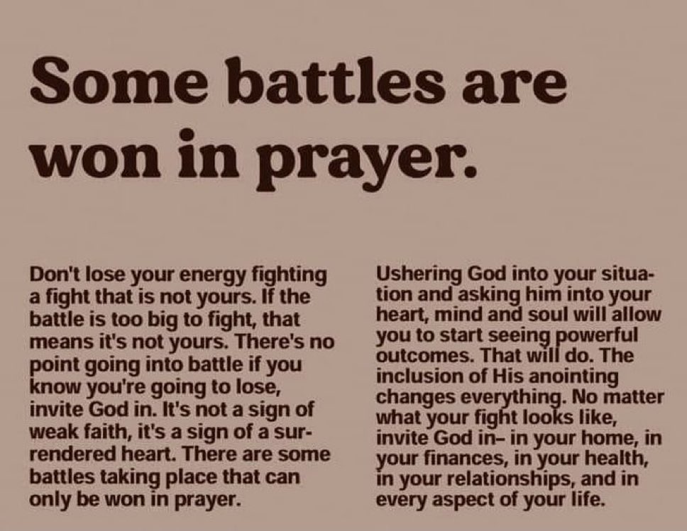 Dogsfollower's tweet image. This!