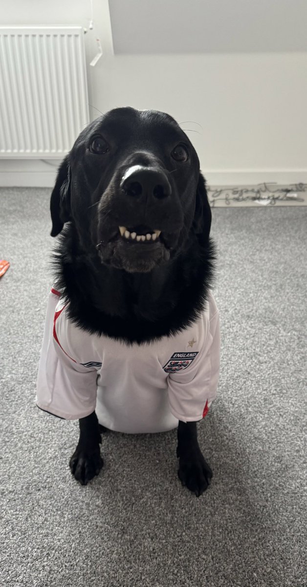 BERTIE #SSNThreeLions