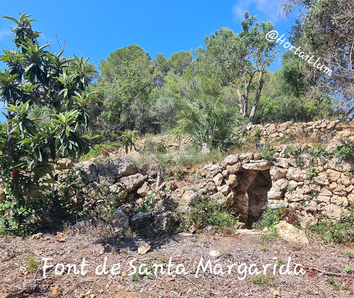 HortaiLlum's tweet photo. Font de Santa Margarida 👇  Un petit oasi al peu del Castellot on, segons la tradició, va aparèixer la imatge de Santa Margarida disputada entre un pagès de #LaRiera i un d'#Altafulla.... origen de la Festa Major de La Riera! #FMLaRiera24 #remordepedra #lluitaperlaigua https://t.co/cgR1lABtaw