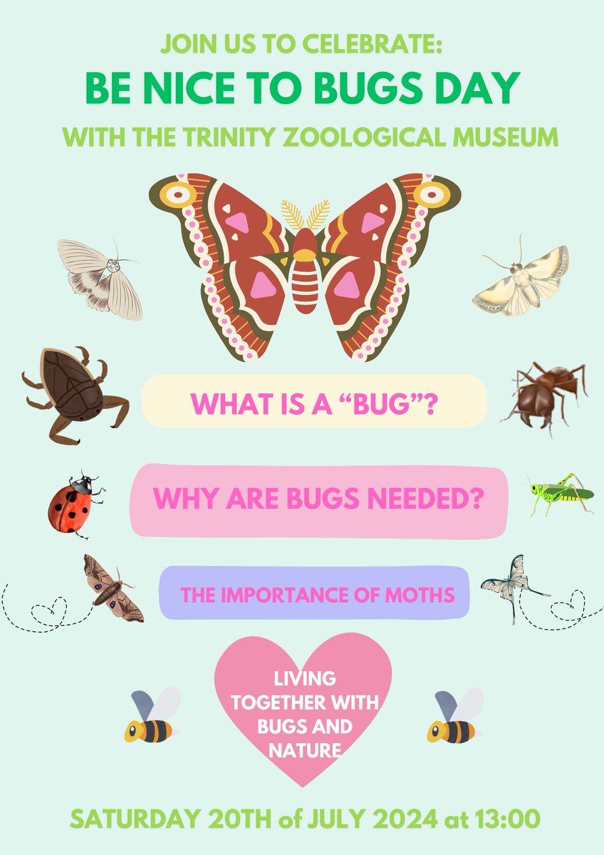 TCDZooMuseum's tweet photo. The Zoological museum is hosting their 2nd pop-up event! Did you know that there are more moth species in Ireland than butterflies? We are debunking the misconception of 'bugs' with our 'be nice to bugs' talk, hosted by Jessica Sohn. https://t.co/oldaKnokZd