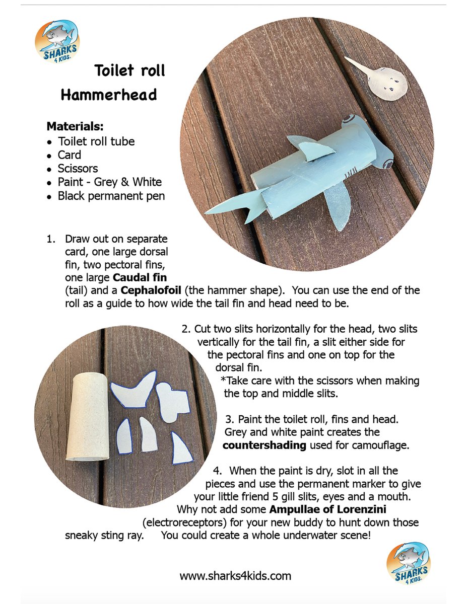 NCAquariumatPKS's tweet photo. This FIN-tastic hammerhead shark craft from Sharks 4 Kids is super fun and easy to make! And because it’s made from a toilet paper roll, you're also reusing and up-cycling!
#SharkWeek #SharkCraft #HammerheadShark #UPcycleCraft https://t.co/jUKIJGBWJN