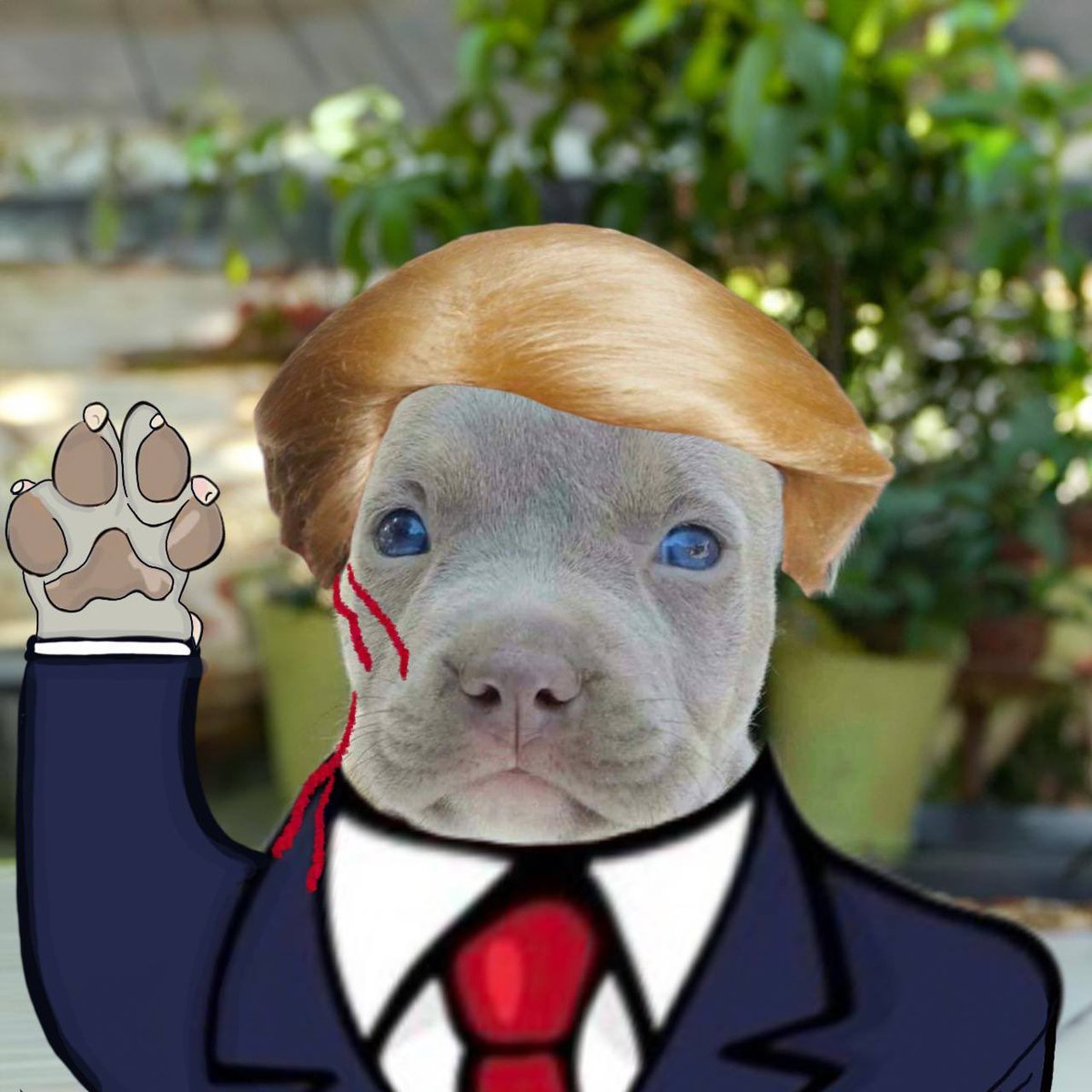 1shmoto's tweet photo. @Zuriell He knows what’s up

$oscar

Ca

FX7hHi5zKVtqet9uACPPe4gtJRXRx4jqWuBdoVaWpump

https://t.co/g52pfyZy2w https://t.co/1lrUjfqMwC