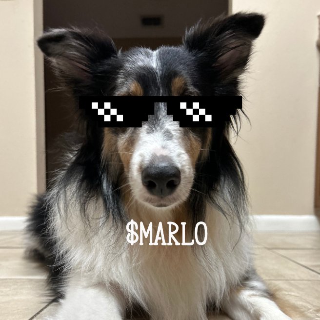 MARLO (@marlocoin) / Posts / X