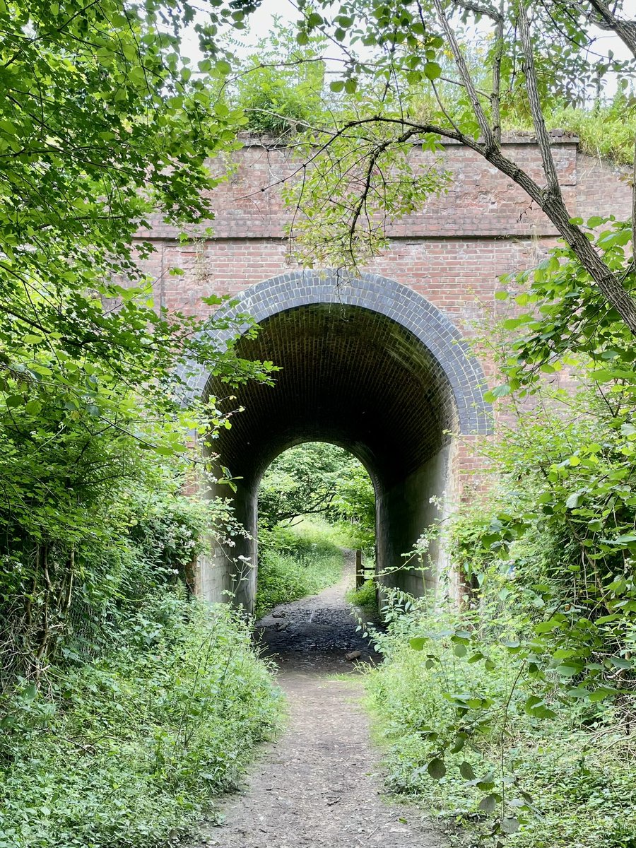 julesx10's tweet image. Sunday strolls, new Woods to discover 🌳💚 #TreeClub #gettinglost