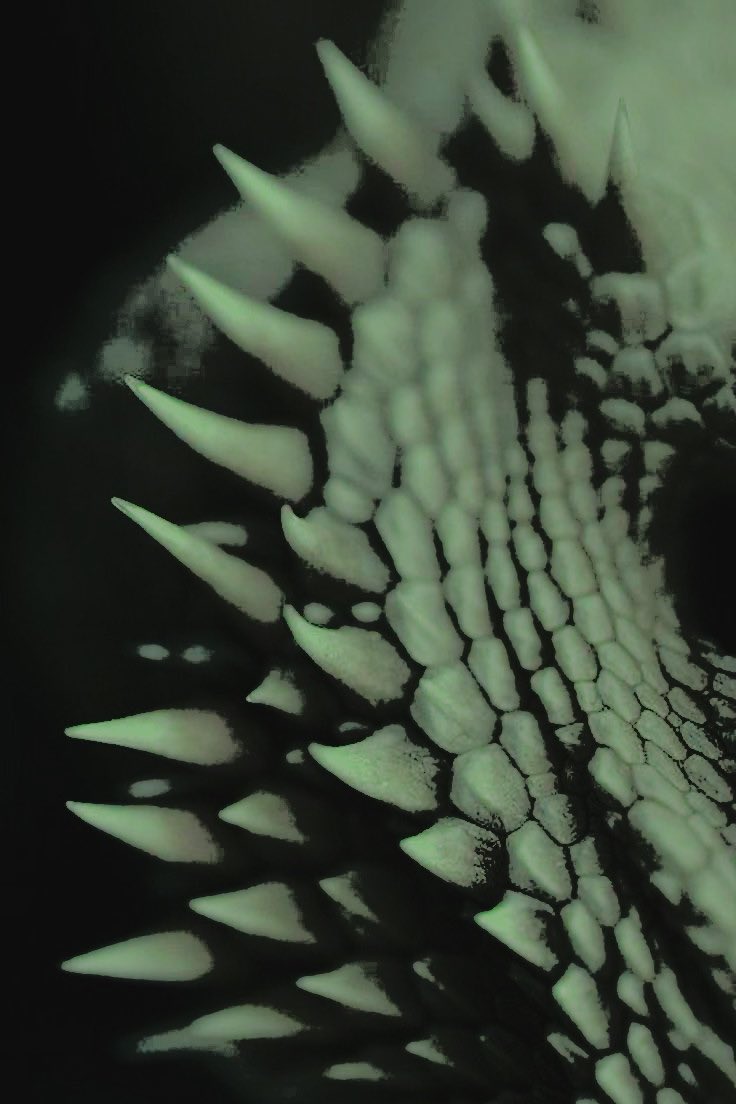 𝑽𝐄͟𝐑͟𝐌͟𝐀͟𝐗͟.̲ tweet media