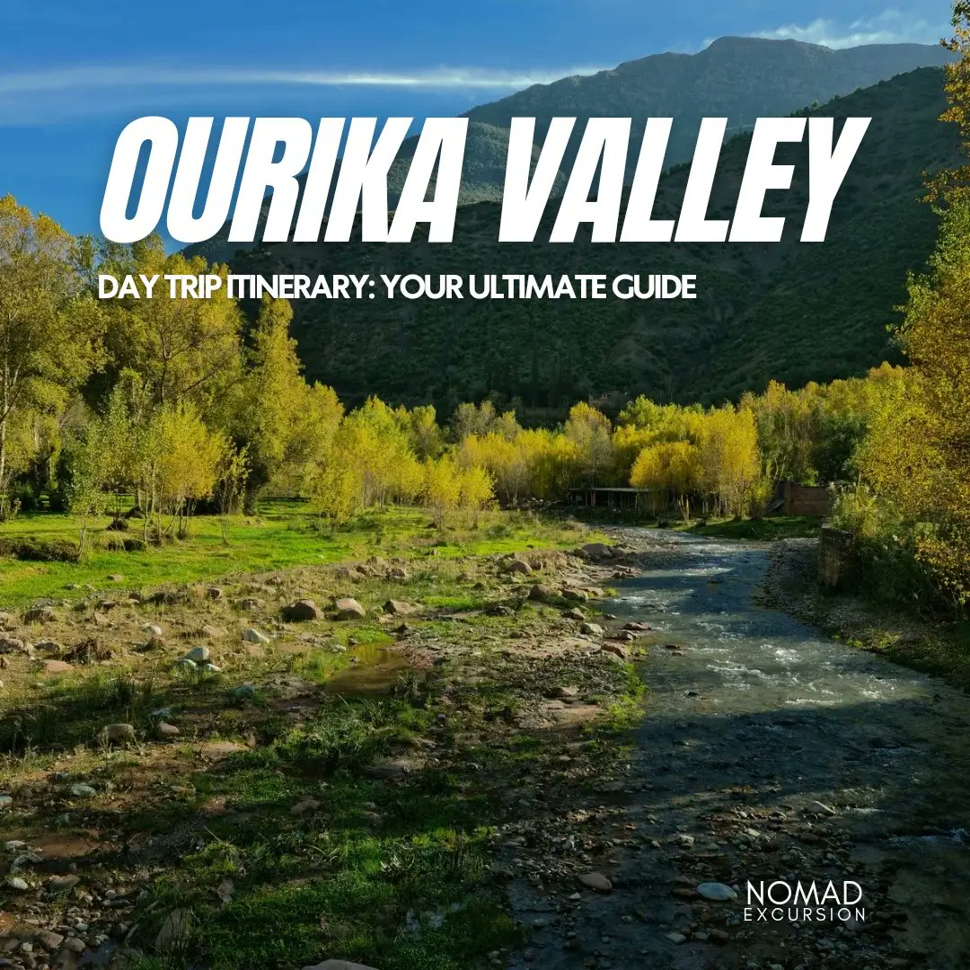 nomad_excursion's tweet photo. Discover the beauty of Ourika Valley with our ultimate day trip itinerary! From waterfall hikes to cultural experiences, make the most of your adventure. 🌿✨ https://t.co/PYWxT70Eb9