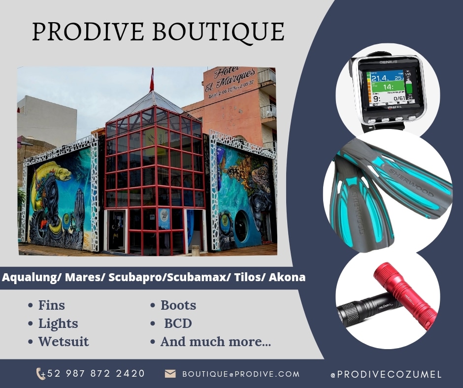 ProdiveCozumel's tweet photo. 😎👌Todo lo que necesitas para tu aventura en un mismo lugar. 

¡Aprovecha este SUMMER SALE!
🔴 Hasta 50% de descuento 🔴

📍5ta Avenida esquina Adolfo Rosado Salas. Cozumel, Quintana Roo. 

#Cozumel #diving #prodive #boutique https://t.co/qBS56uPRXK