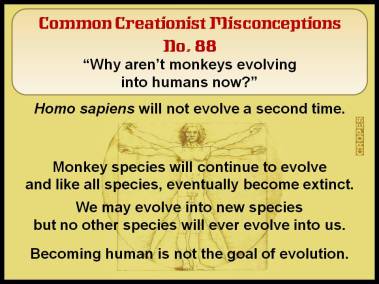 Creationist Misconceptions tweet media