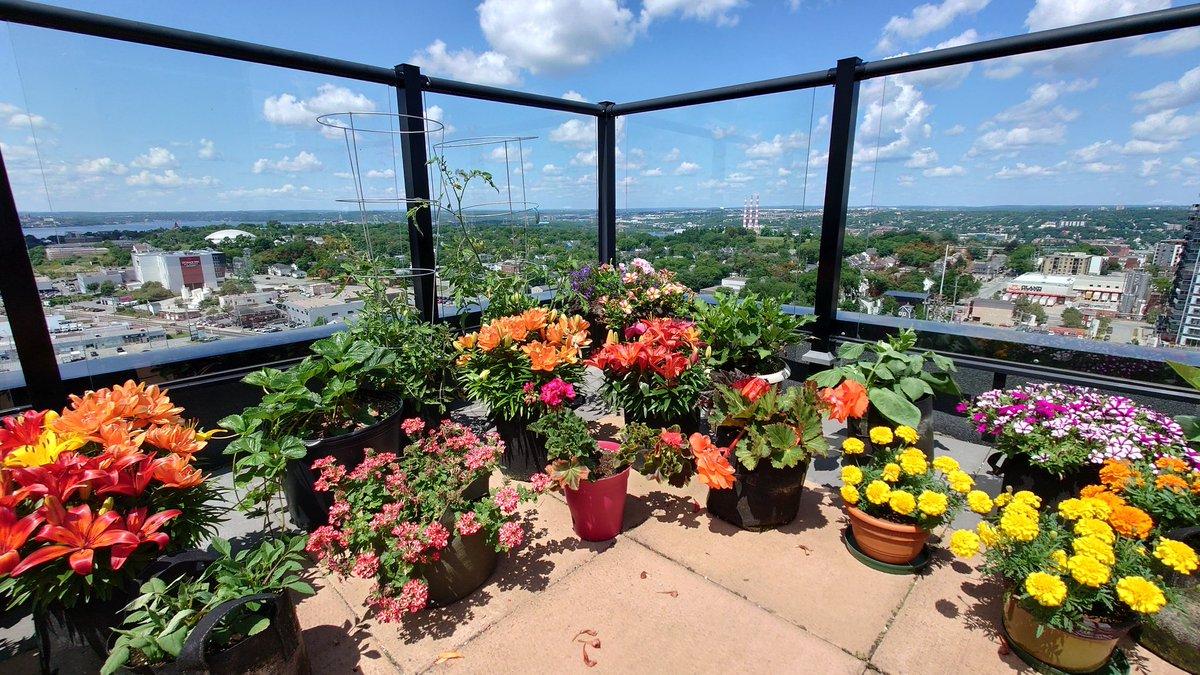 Andrew French tweet media