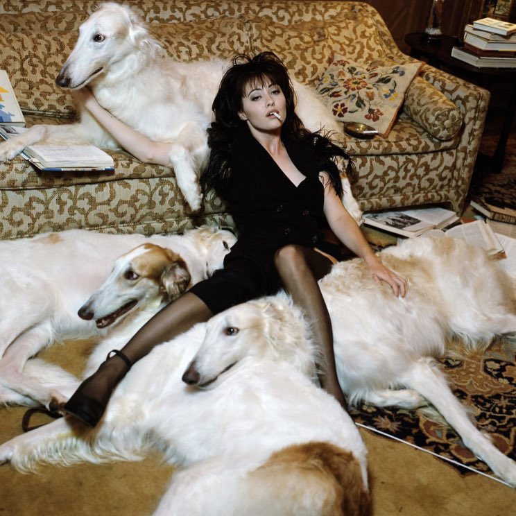 venetianblonde's tweet photo. Shannen Doherty: actor, advocate, admirable brave woman. She wasn't done yet. She was younger than me. She loved dogs and rescued, or helped rescue, many. Please pledge for, foster or adopt a shelter dog in her honor some day ❤️
#RIP https://t.co/9EAj0m1Lu3