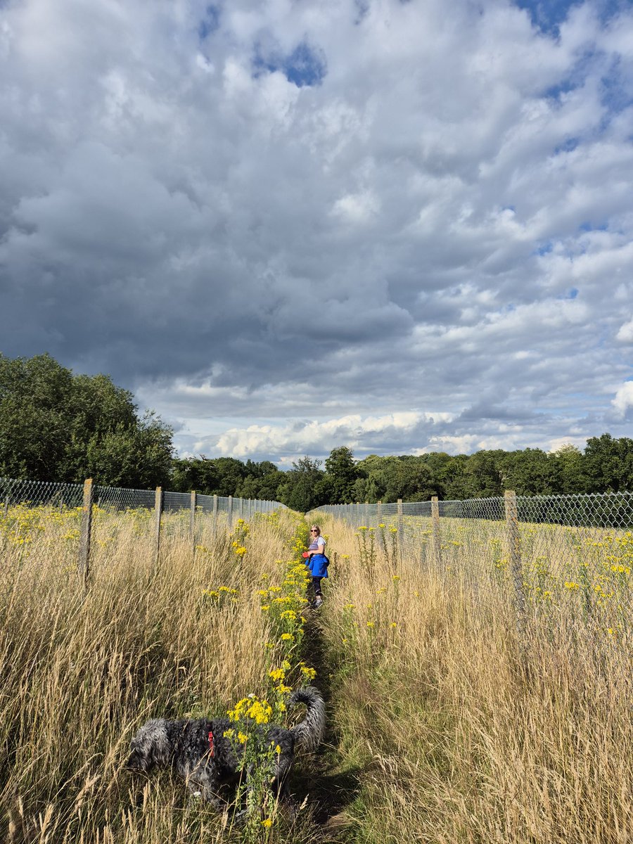 Adam Roberts tweet media