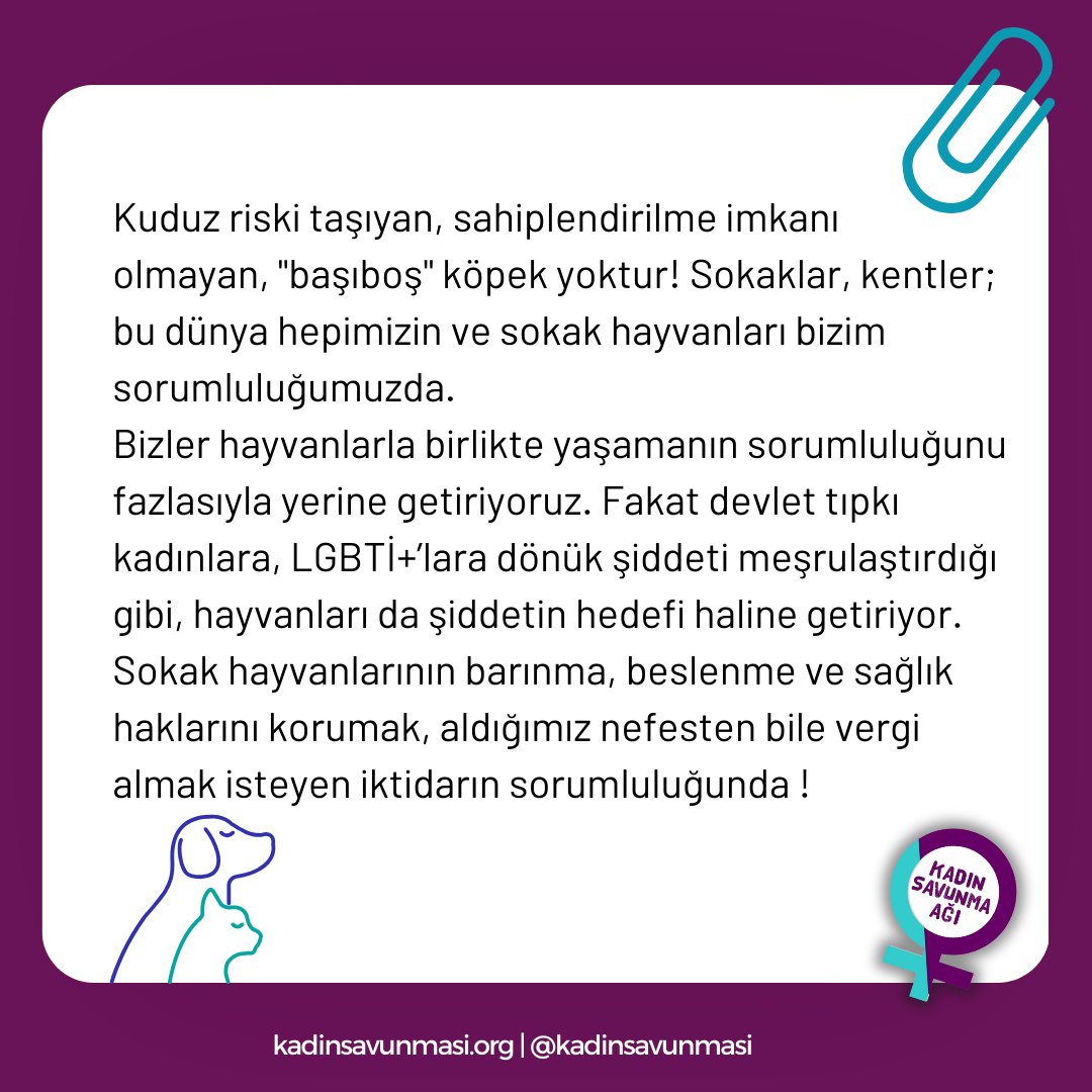 kadinsavunmasi's tweet photo. Sokak hayvanlarına dair hiçbir sorumluluğunu yerine getirmeyen devletin tasarruf tedbirleri adı altında hayvanları toplatıp katletmesine izin vermiyoruz! Canlı yaşamından değil, saraydan tasarruf edin!
#SokaktayımYanındayım
#KatliamaOyumHayır https://t.co/j7j09k0xBa