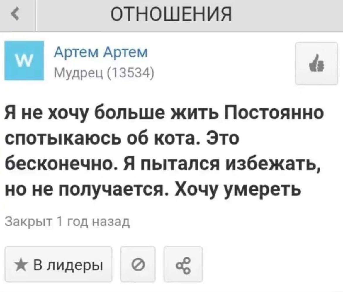 #позалис

поэт переехал к володе 
все