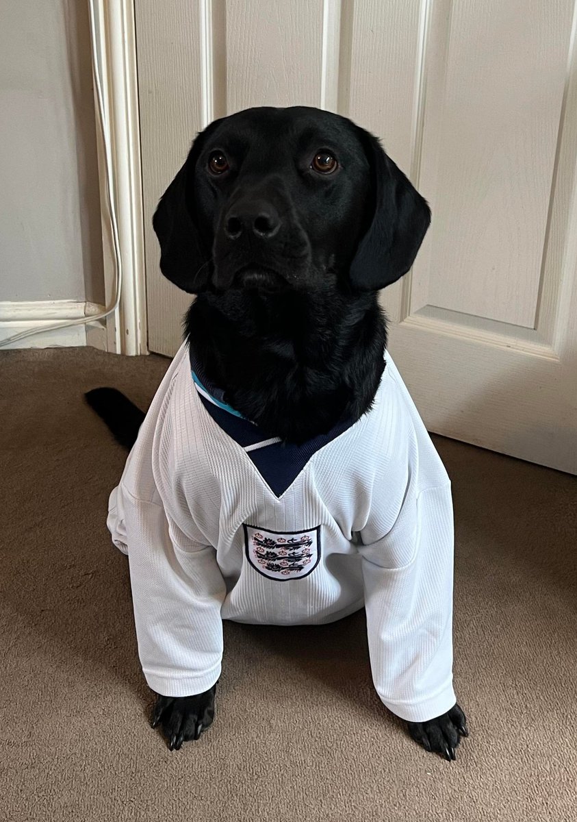 Dexter is cautiously optimistic. Come on England! #SSNThreeLions