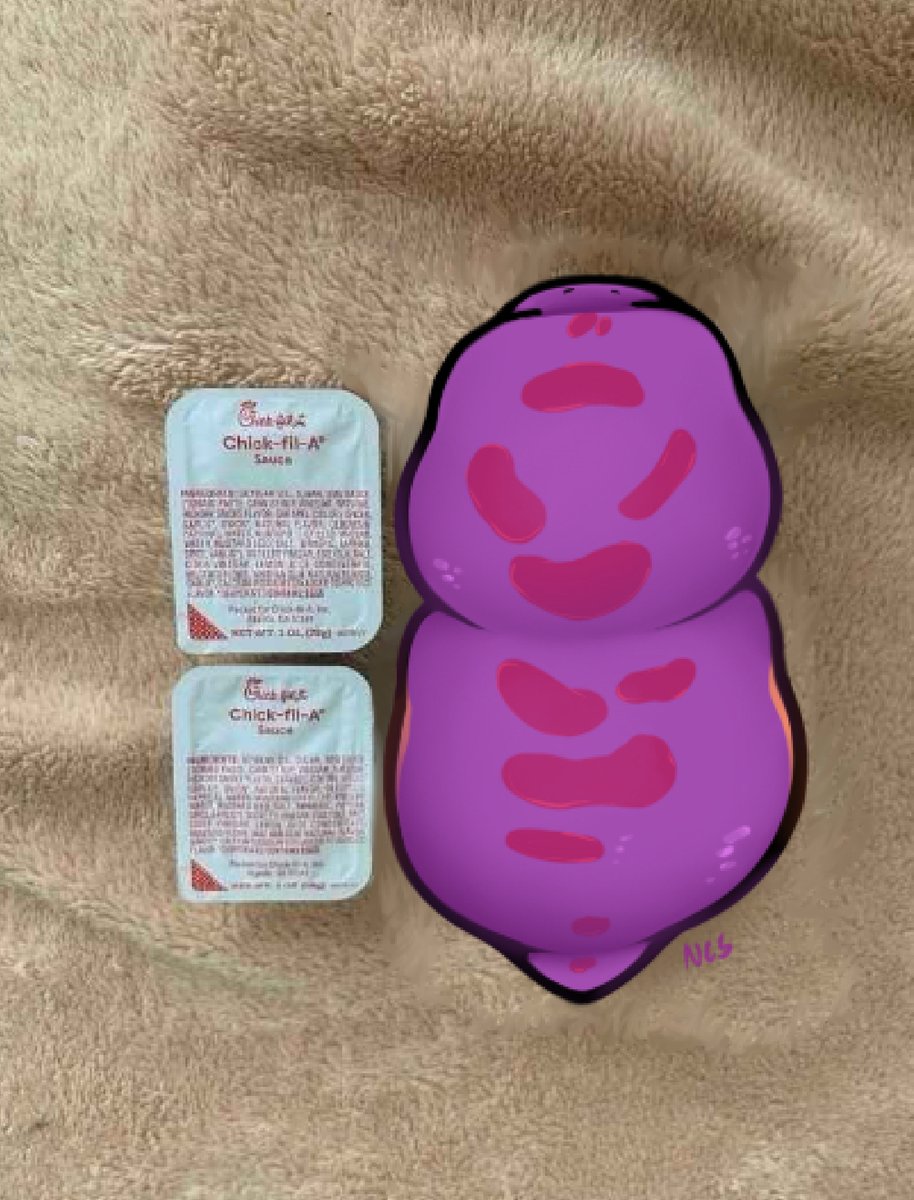 “How big is Keeshee?”
“Two sauce packets”