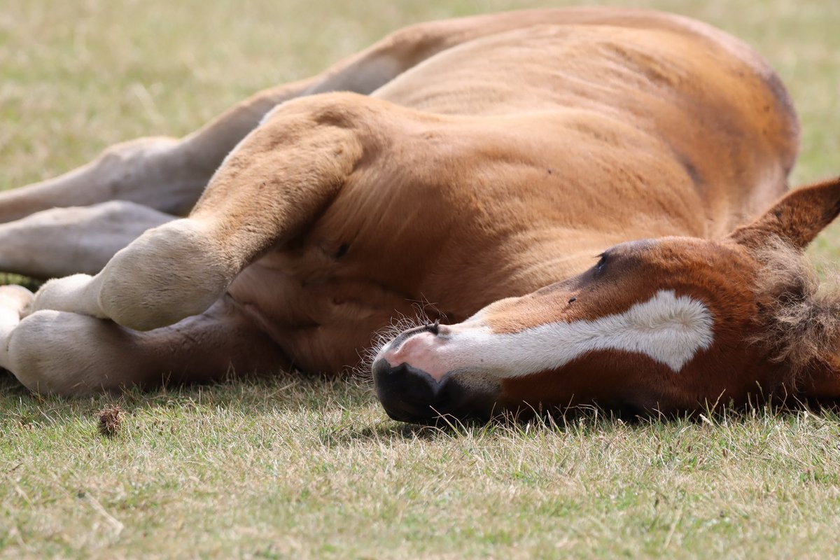 Samantha Roberts 💙 tweet media