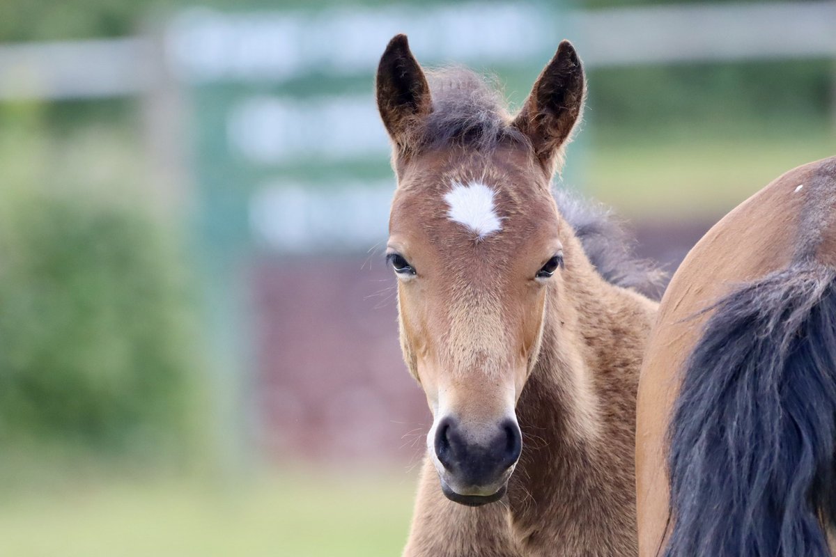 Samantha Roberts 💙 tweet media