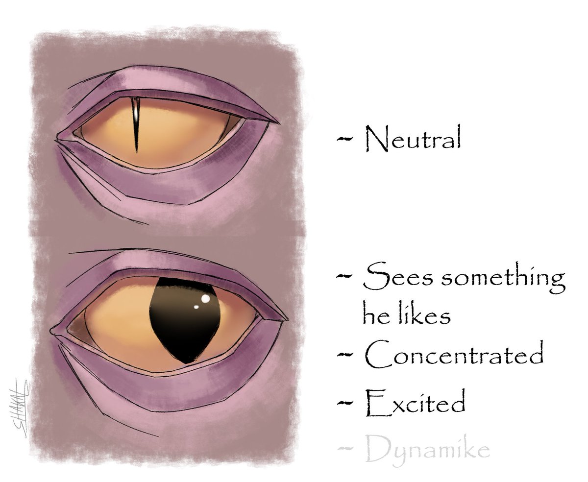 shakalksta's tweet photo. Mortis headcanon
#BrawlStarsArt #brawlstarsfanart #BrawlStars https://t.co/WIK0iDMKQt