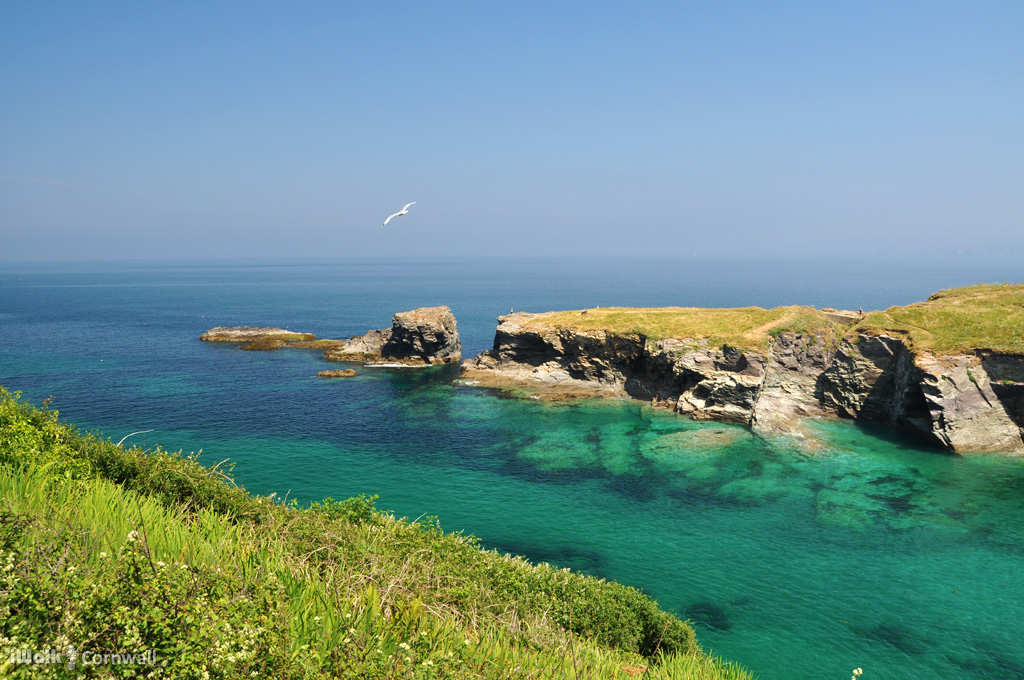 iWalk Cornwall 〓〓 tweet media