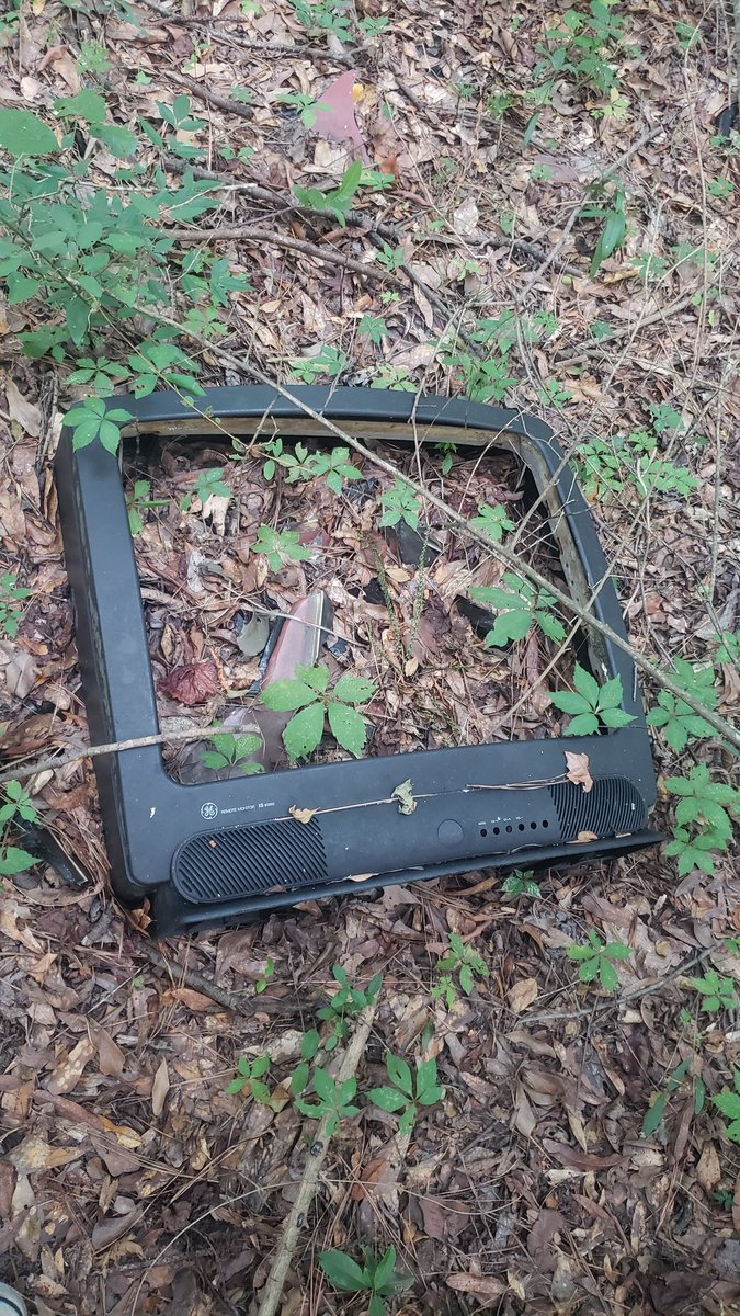 FlamingButtWind's tweet photo. all sorts of places from my college town are either closed or torn down but this tv we smashed in the woods for a totheark video is right where we left it https://t.co/5YCCAncitD