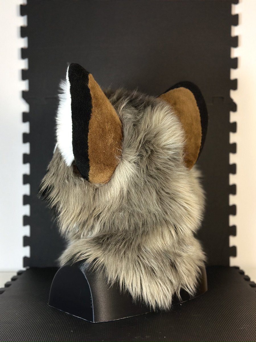 Twisted Thorns (@twistedthornss) on Twitter photo Raccoon head for <a href="/Latinvixen/">Val / LatinVixen🔜ANE/NFC</a>
This is part of a partial fursuit, more photos coming later. Raccoon head for <a href="/Latinvixen/">Val / LatinVixen🔜ANE/NFC</a>
This is part of a partial fursuit, more photos coming later.