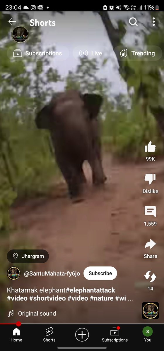 drsaachin's tweet photo. @aranya_kfd Sir, I am seeing these people keep irritating elephants and posting videos on their youtube channel to get views. Please request your strict action against these people.  https://t.co/fIT2c8hhMm https://t.co/VxUaDkOAu9