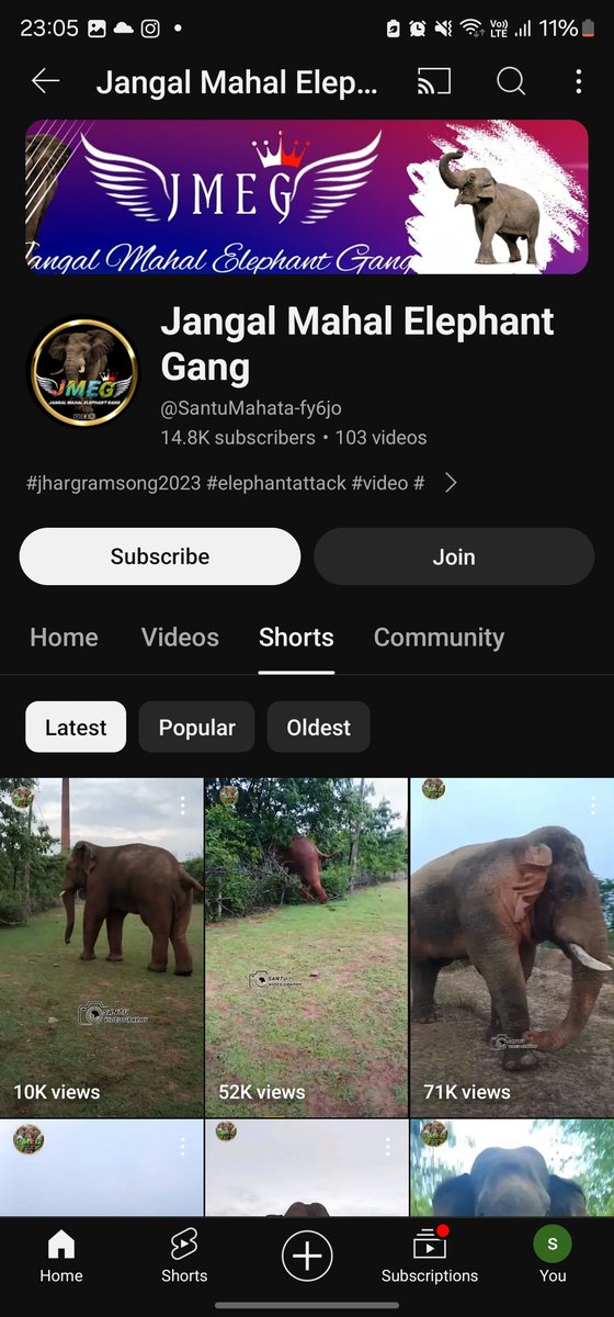 drsaachin's tweet photo. @aranya_kfd Sir, I am seeing these people keep irritating elephants and posting videos on their youtube channel to get views. Please request your strict action against these people.  https://t.co/fIT2c8hhMm https://t.co/VxUaDkOAu9