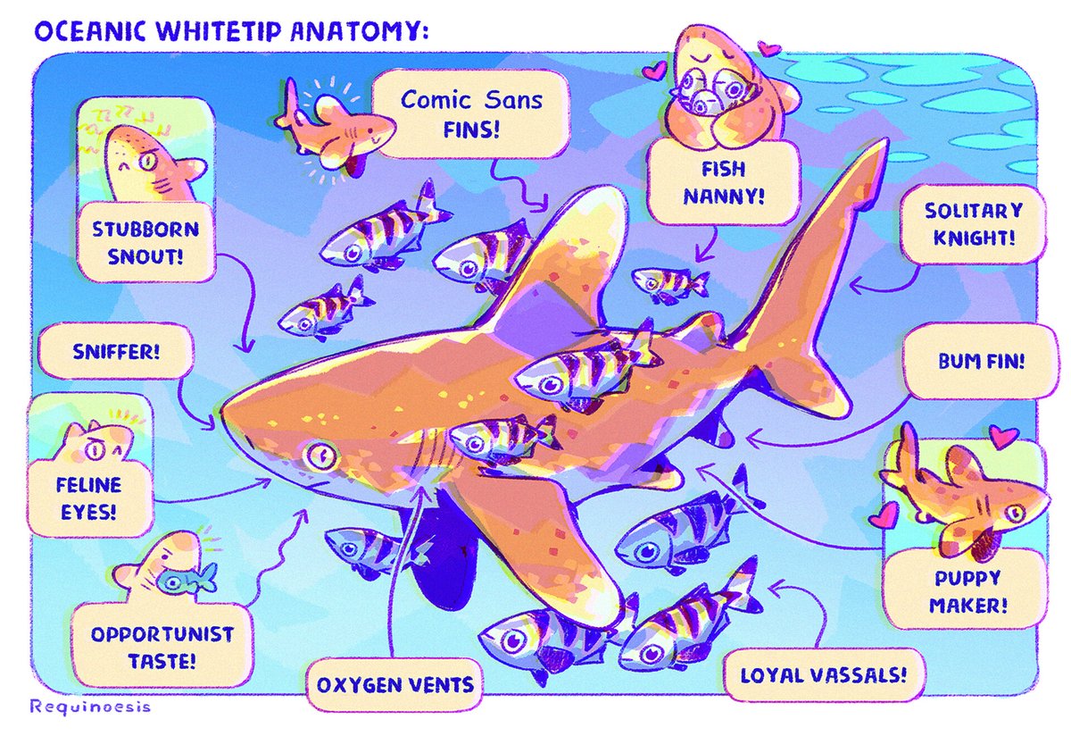 For this Shark Awareness Day, I thought I'd repost these funny and old illustrations that share some facts about sharks! 🦈✨

#SharkAwarenessDay #SharkWeek #Sharks