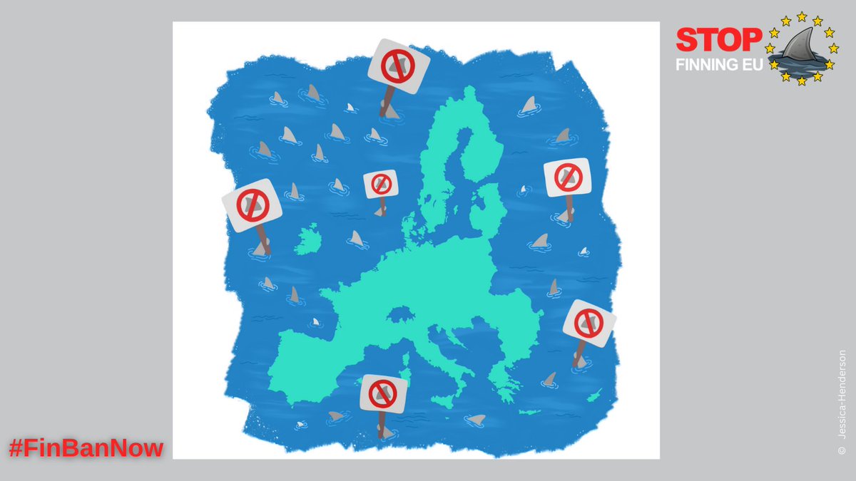StopFinningEU tweet media
