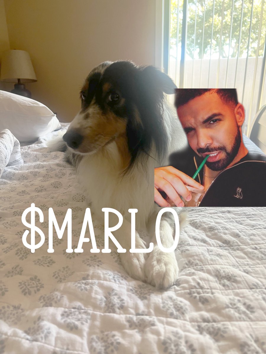 MARLO (@marlocoin) / Posts / X