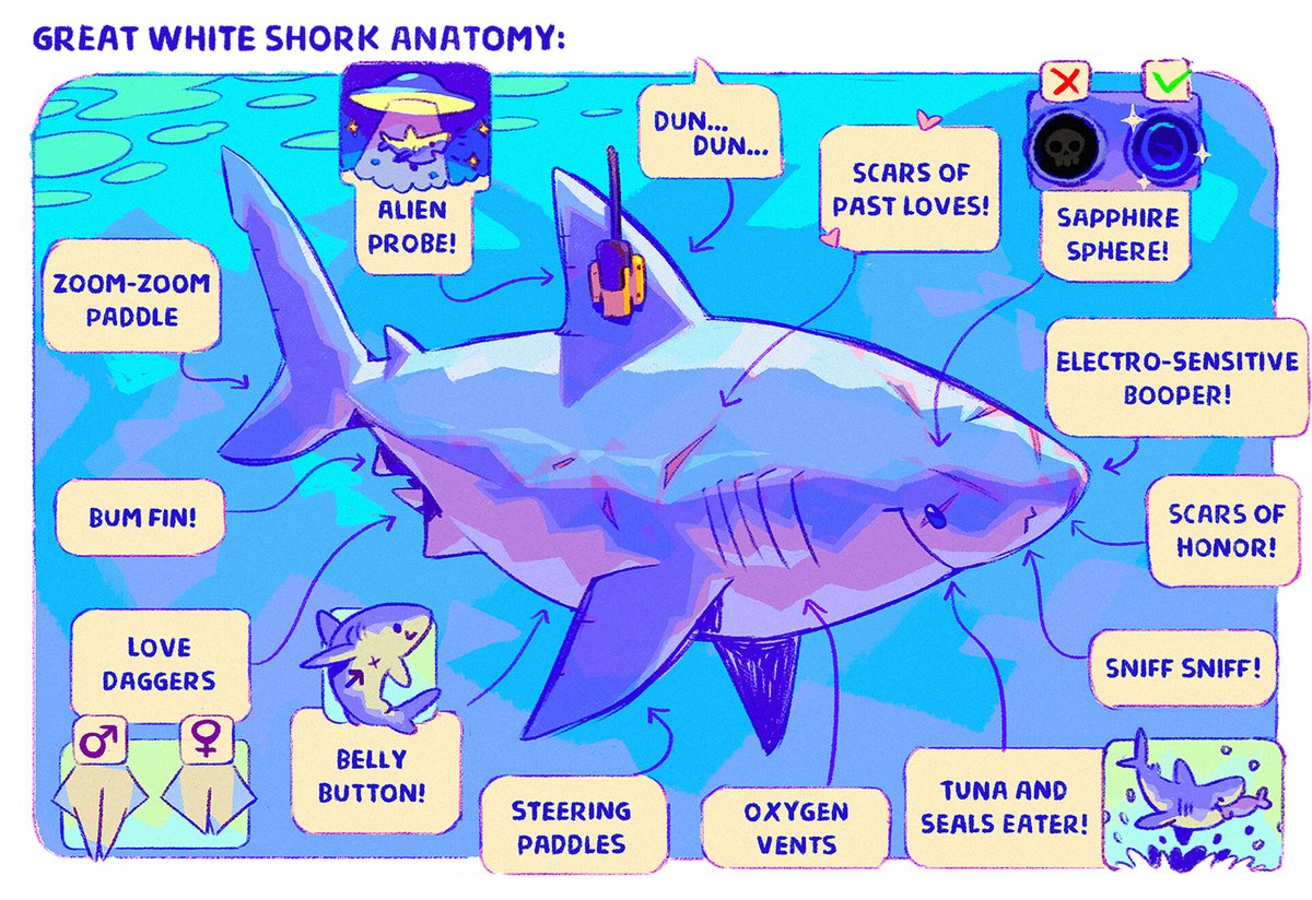 Requinoesis✨ tweet media