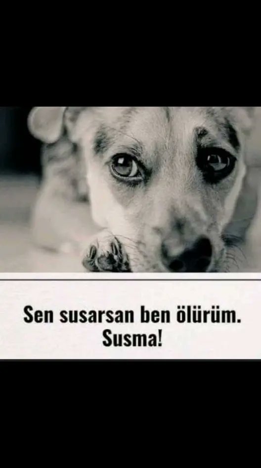 YAVUZ Özduran (@yavuzzdura94545) on Twitter photo 